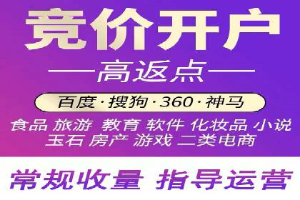 某某sem代运营公司：精准投放的背后策略